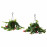 Доставка из Польши AESCHYNANTHUS roslina doniczkowa, Aeschynanthus, 15 cm ИКЕА-60365940, ЕВРОИКЕА Калининград