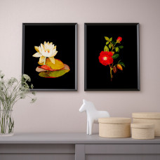 Доставка из Польши ⭐⭐⭐⭐⭐ BILD плакат, Flora Delanica I, 40x50 cm,ИКЕА-00446925, Евро Икеа Калининград