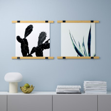 Доставка из Польши ⭐⭐⭐⭐⭐ BILD плакат, Kaktus, 50x50 cm,ИКЕА-80441820, Евро Икеа Калининград
