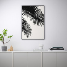 Доставка из Польши ⭐⭐⭐⭐⭐ BILD плакат, Linearne liscie palmowe, 61x91 cm,ИКЕА-40442256, Евро Икеа Калининград