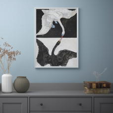 Доставка из Польши ⭐⭐⭐⭐⭐ BILD плакат, dziob w dziob, 50x70 cm,ИКЕА-80521633, Евро Икеа Калининград