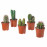 Доставка из Польши CACTACEAE Растение в горшке, rozne Kaktus, 17 cm ИКЕА-00365938, ЕВРОИКЕА Калининград