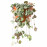 Доставка из Польши CEROPEGIA WOODII roslina doniczkowa, Lancuch serc, 12 cm ИКЕА-10541601, ЕВРОИКЕА Калининград