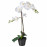 Доставка из Польши FEJKA sztuczna roslina doniczkowa, Orchidea bialy, 12 cm ИКЕА-80285909, ЕВРОИКЕА Калининград