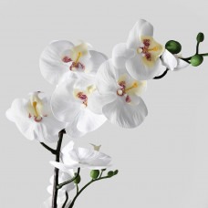 Доставка из Польши ⭐⭐⭐⭐⭐ FEJKA sztuczna roslina doniczkowa, Orchidea bialy, 12 cm,ИКЕА-80285909, Евро Икеа Калининград