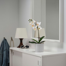 Доставка из Польши ⭐⭐⭐⭐⭐ FEJKA sztuczna roslina doniczkowa, Orchidea bialy, 9 cm,ИКЕА-00285908, Евро Икеа Калининград
