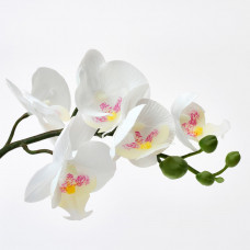 Доставка из Польши ⭐⭐⭐⭐⭐ FEJKA sztuczna roslina doniczkowa, Orchidea bialy, 9 cm,ИКЕА-00285908, Евро Икеа Калининград