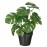 Доставка из Польши FEJKA sztuczna roslina doniczkowa, do wewnatrz/na zewnatrz Monstera, 12 cm ИКЕА-30493350, ЕВРОИКЕА Калининград