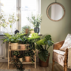 Доставка из Польши ⭐⭐⭐⭐⭐ FEJKA sztuczna roslina doniczkowa, do wewnatrz/na zewnatrz Monstera, 19 cm,ИКЕА-40395288, Евро Икеа Калининград