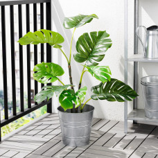Доставка из Польши ⭐⭐⭐⭐⭐ FEJKA sztuczna roslina doniczkowa, do wewnatrz/na zewnatrz Monstera, 19 cm,ИКЕА-40395288, Евро Икеа Калининград