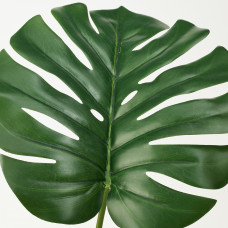 Доставка из Польши ⭐⭐⭐⭐⭐ FEJKA sztuczna roslina doniczkowa, do wewnatrz/na zewnatrz Monstera, 19 cm,ИКЕА-40395288, Евро Икеа Калининград