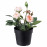 Доставка из Польши FEJKA sztuczna roslina doniczkowa, do wewnatrz/na zewnatrz/Roza rozowy, 9 cm ИКЕА-00395313, ЕВРОИКЕА Калининград
