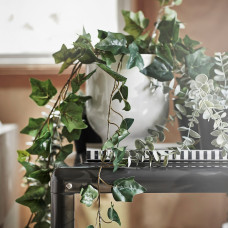 Доставка из Польши ⭐⭐⭐⭐⭐ FEJKA sztuczna roslina doniczkowa, do wewnatrz/na zewnatrz/wiszacy Bluszcz, 12 cm,ИКЕА-10461147, Евро Икеа Калининград