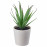Доставка из Польши FEJKA sztuczna roslina w doniczce, do wewnatrz/na zewnatrz Sukulent, 6 cm ИКЕА-80519767, ЕВРОИКЕА Калининград