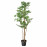 Доставка из Польши FEJKA sztuczna roslina doniczkowa, do wewnatrz/na zewnatrz Figa placzaca, 21 cm ИКЕА-70491575, ЕВРОИКЕА Калининград