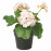 Доставка из Польши FEJKA sztuczna roslina doniczkowa, do wewnatrz/na zewnatrz/Pelargonia jasnorozowy, 9 cm ИКЕА-70571685, ЕВРОИКЕА Калининград