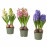 Доставка из Польши HYACINTHUS roslina doniczkowa, rozne kolory, 12 cm ИКЕА-60569739, ЕВРОИКЕА Калининград