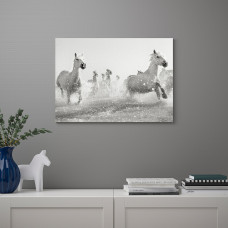 Доставка из Польши ⭐⭐⭐⭐⭐ PJATTERYD obraz, galopujace konie, 70x50 cm,ИКЕА-80519442, Евро Икеа Калининград