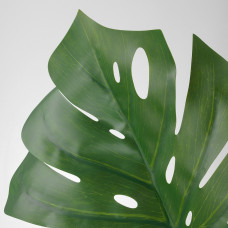 Доставка из Польши ⭐⭐⭐⭐⭐ SMYCKA sztuczny lisc, Monstera/zielony, 80 cm,ИКЕА-00335705, Евро Икеа Калининград