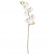 Доставка из Польши SMYCKA sztuczny kwiat, Orchidea/bialy, 60 cm ИКЕА-80333585, ЕВРОИКЕА Калининград