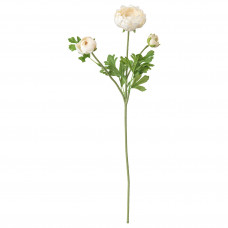 Доставка из Польши SMYCKA sztuczny kwiat, Jaskier/bialy, 52 cm ИКЕА-20335714, ЕВРОИКЕА Калининград