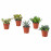 Доставка из Польши SUCCULENT roslina doniczkowa, rozne/Sukulent, 9 cm ИКЕА-10311006, ЕВРОИКЕА Калининград