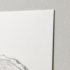 Доставка из Польши ⭐⭐⭐⭐⭐ VAXBO pocztowka artystyczna, Echa natury, 13x18 cm,ИКЕА-70561002, Евро Икеа Калининград